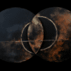 Cirkle #010